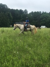 Riding in the field